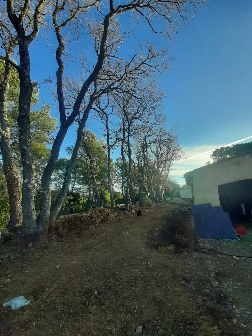 foret elagage paysage elagueur le luc foret elagage paysage 09